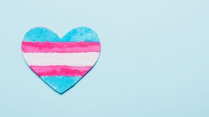 Trans flag heart
